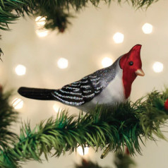 Red Crested Cardinal - COMING SOON