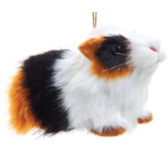 Furry Guinea Pig - $14.99