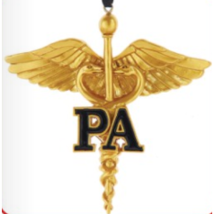 Gold Caduceus PA - $9.99