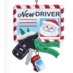 New Driver Santa License - $9.99